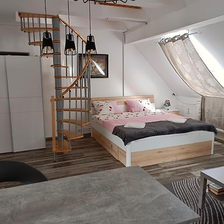 Pension Donaublick Grein 2 In Stifterstrasse 19A Dış mekan fotoğraf