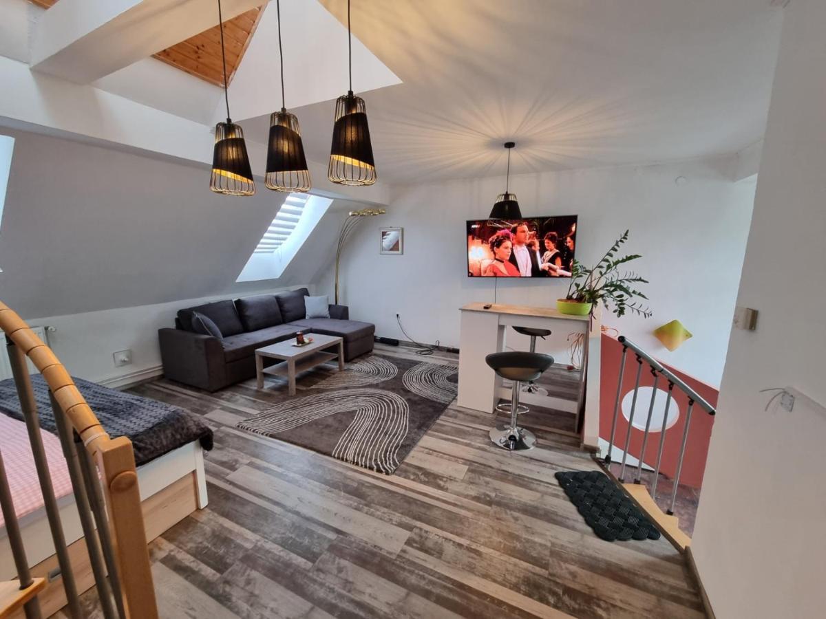 Pension Donaublick Grein 2 In Stifterstrasse 19A Dış mekan fotoğraf