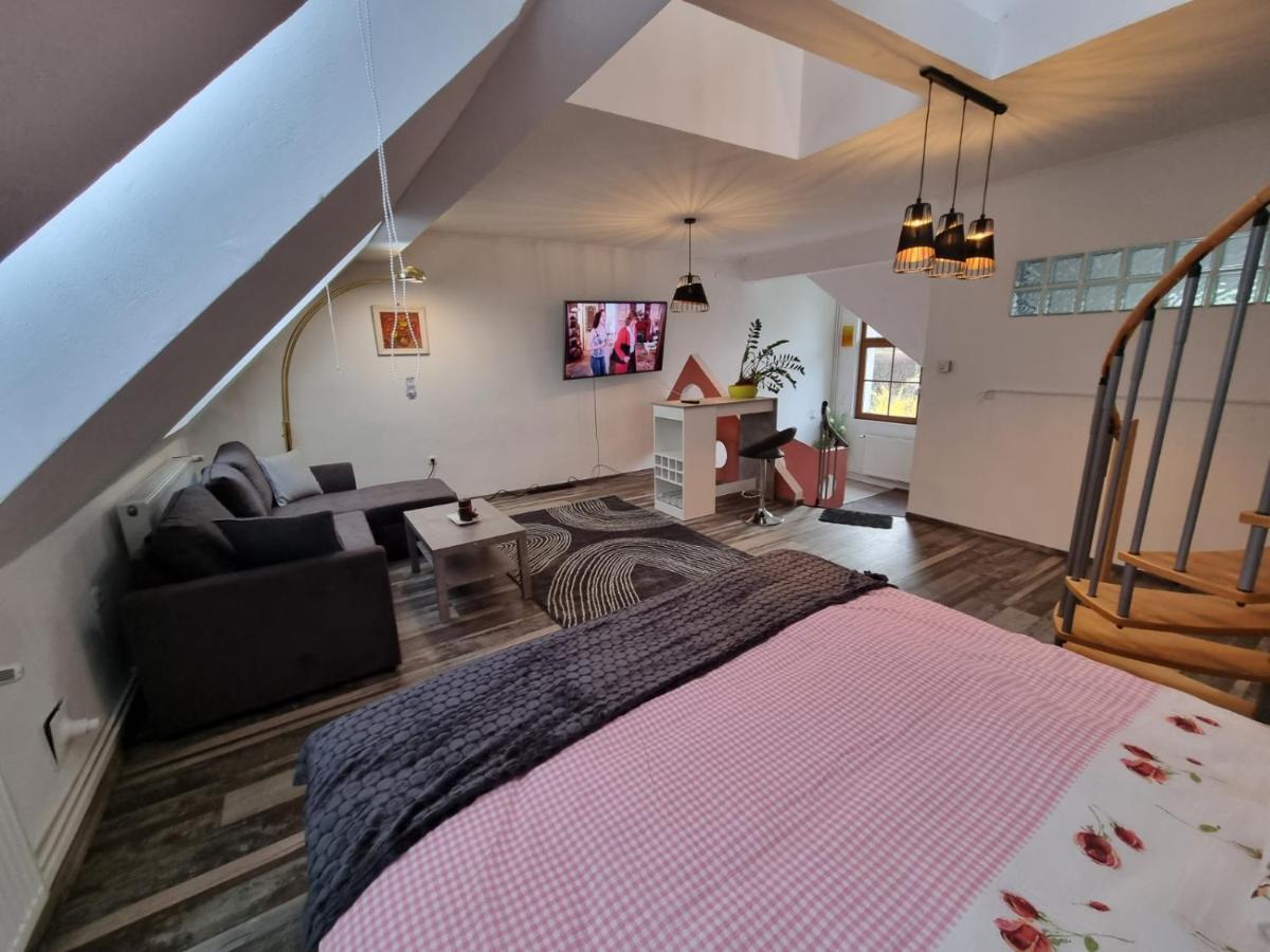 Pension Donaublick Grein 2 In Stifterstrasse 19A Dış mekan fotoğraf
