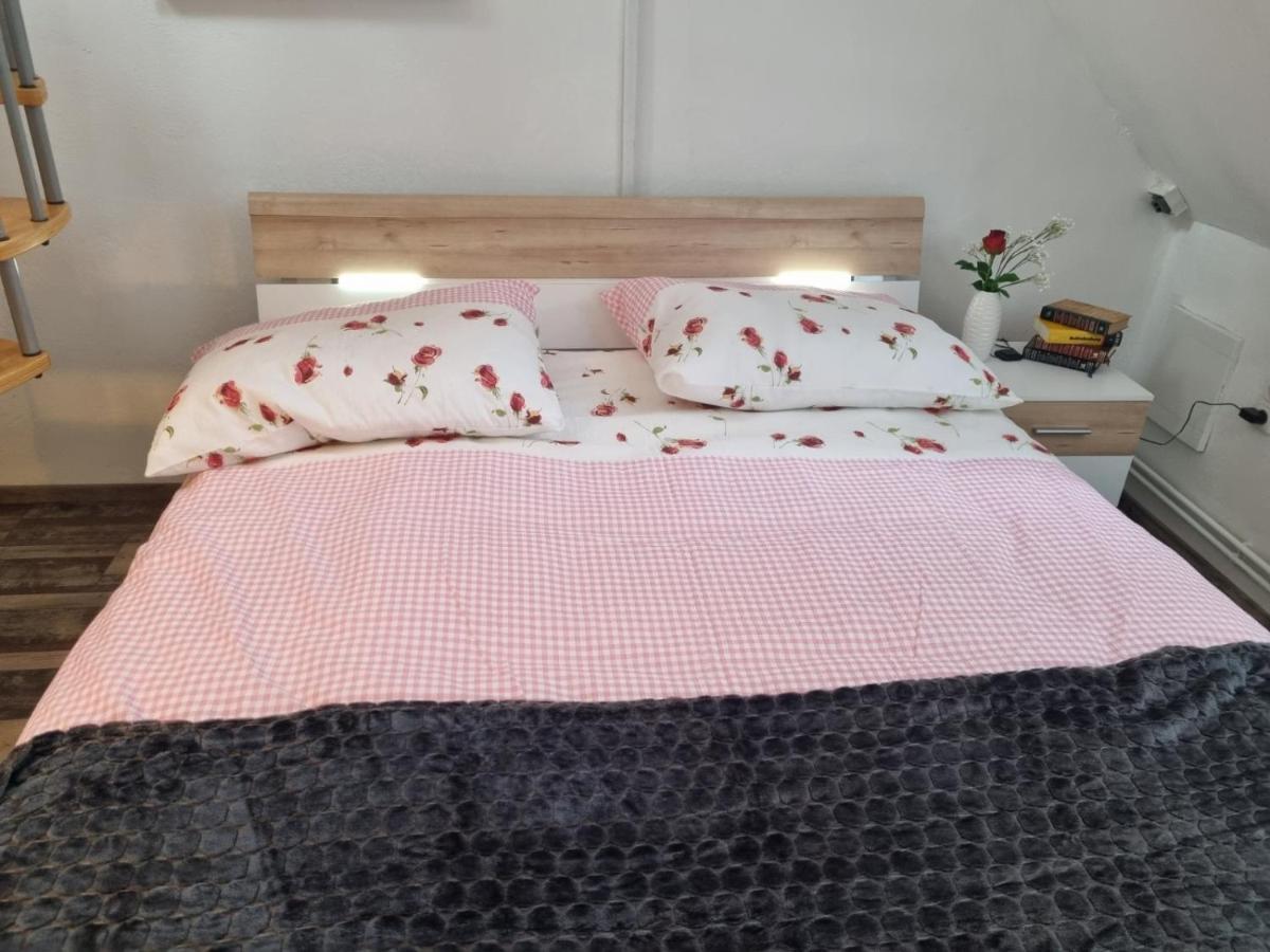 Pension Donaublick Grein 2 In Stifterstrasse 19A Dış mekan fotoğraf