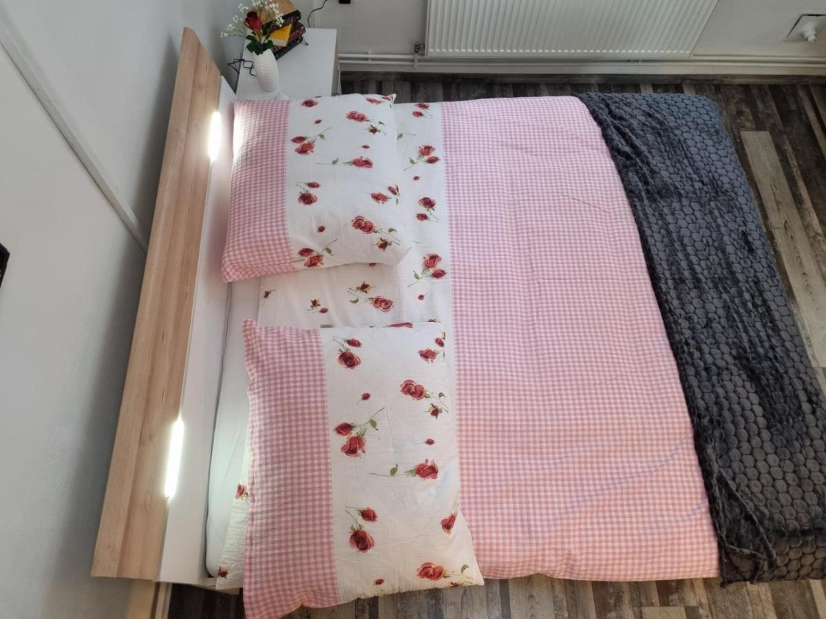 Pension Donaublick Grein 2 In Stifterstrasse 19A Dış mekan fotoğraf